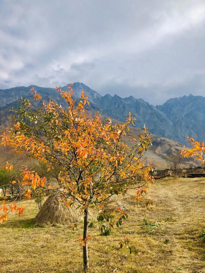 Mikheil Pitskhelauri Guest House Kazbegi Exterior foto